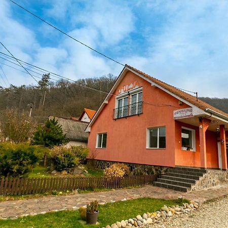 House Of Julia Hotel Sighisoara Exterior photo